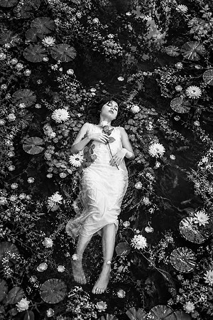 Dreaming Among Water Lilies