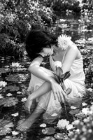 Dreamy White Rose Ophelia in Lily Pond-Duplicate