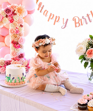 First Birthday Cake Smash Celebration