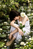 Dreamy White Rose Ophelia in Lily Pond